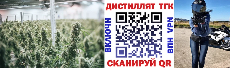 Дистиллят ТГК вейп с тгк блэк спрут ссылка Гороховец магазин