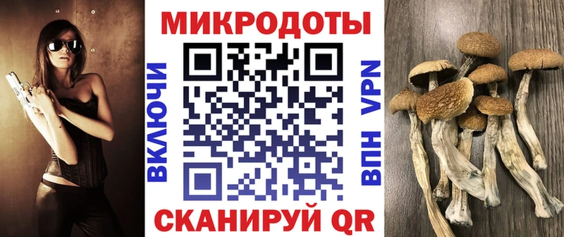 Псилоцибиновые грибы прущие грибы Гороховец